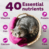 Whiskas Rohu Fish Flavour Adult Cat Dry Food Cats- Dry food Whiskas