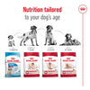 Royal Canin Medium Adult Dog Dry Food