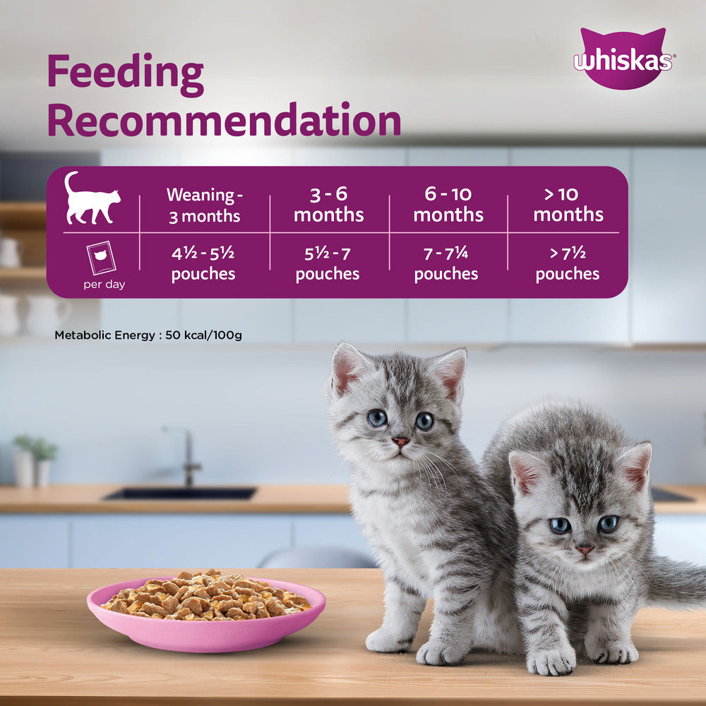 Whiskas Chicken in Gravy Meal Kitten Wet Food Cats-Wet Food Whiskas