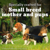 Pedigree PRO Expert Nutrition Lactating/Pregnant Mother & Puppy Starter (3 to 12 Weeks) Small Breed Dog Dry Food Dogs- Dry Food Pedigree PRO
