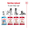 Royal Canin Medium Adult Dog Dry Food Dogs- Dry Food Royal Canin