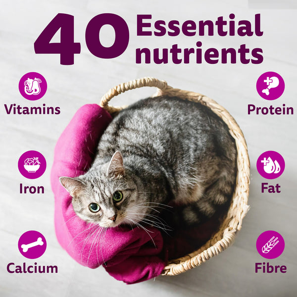 Whiskas Catla Fish Flavour Adult Cat Dry Food