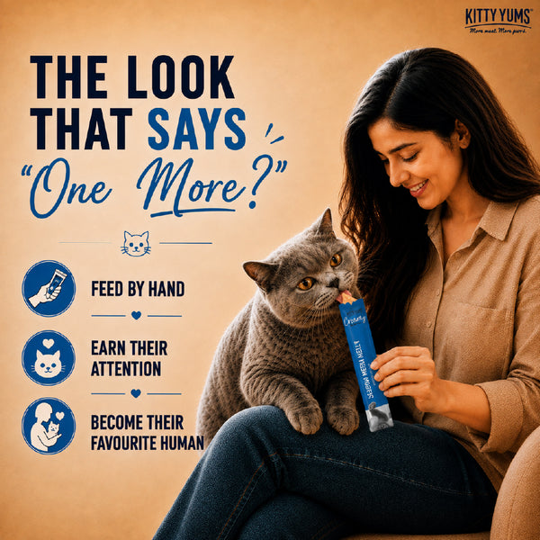 Kitty Yums Seafood Medley Creamy Cat Treat
