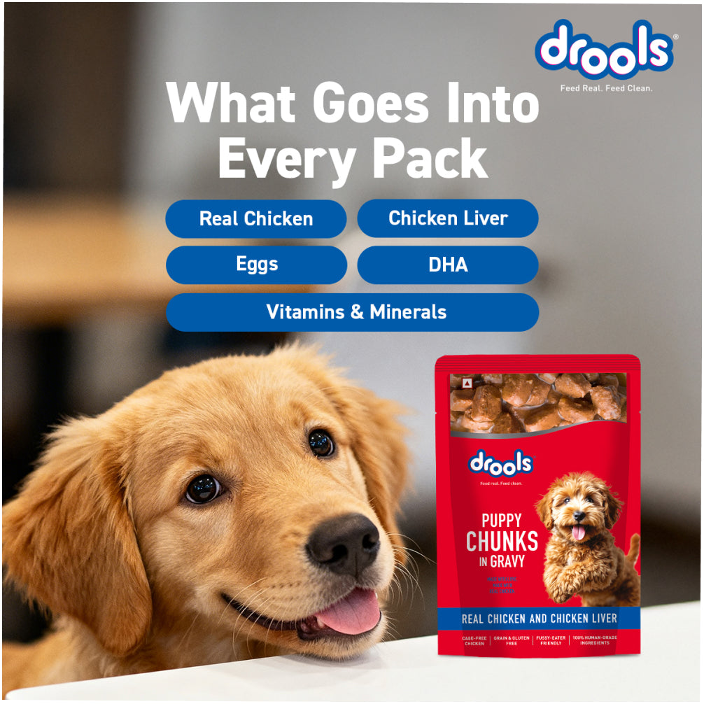 Drools Real Chicken & Chicken Liver Chunks in Gravy Puppy Dog Wet Food
