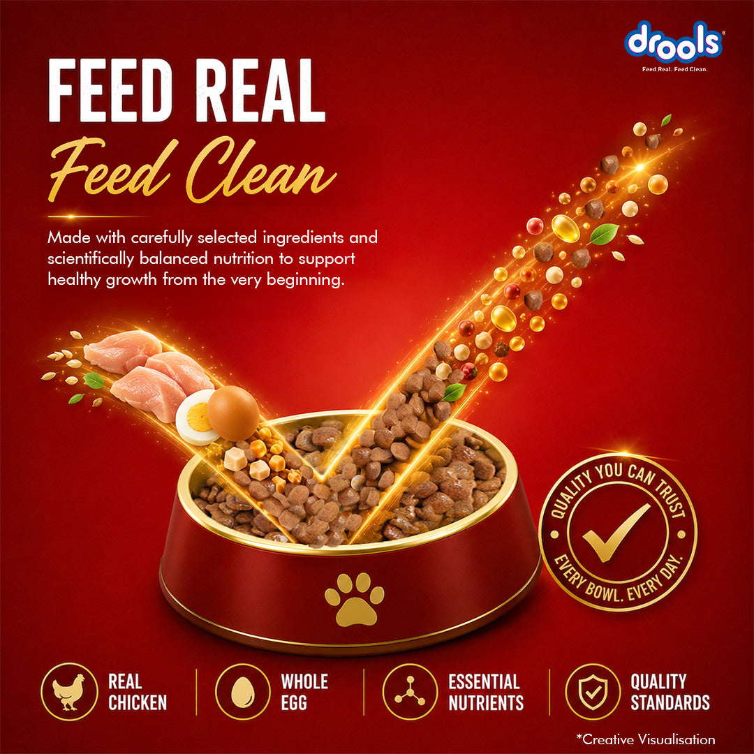 Drools Chicken and Egg Puppy Dog Dry Food Dogs- Dry Food Drools