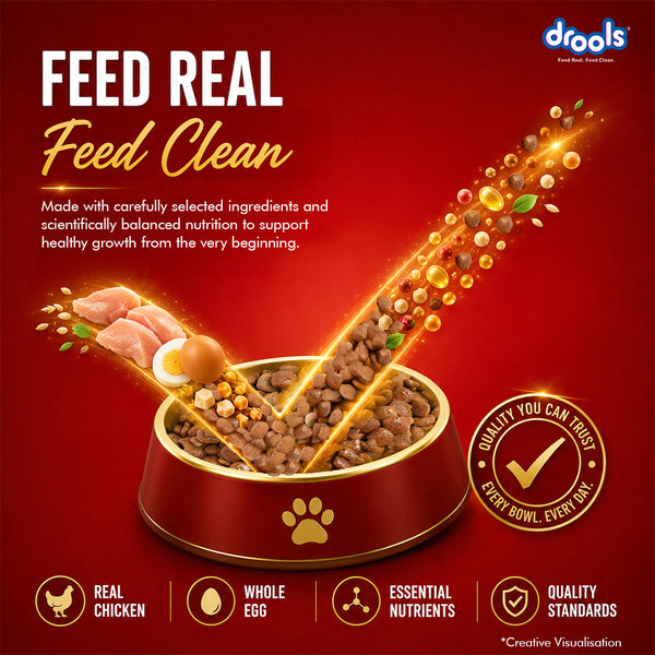 Drools Chicken and Egg Puppy Dog Dry Food