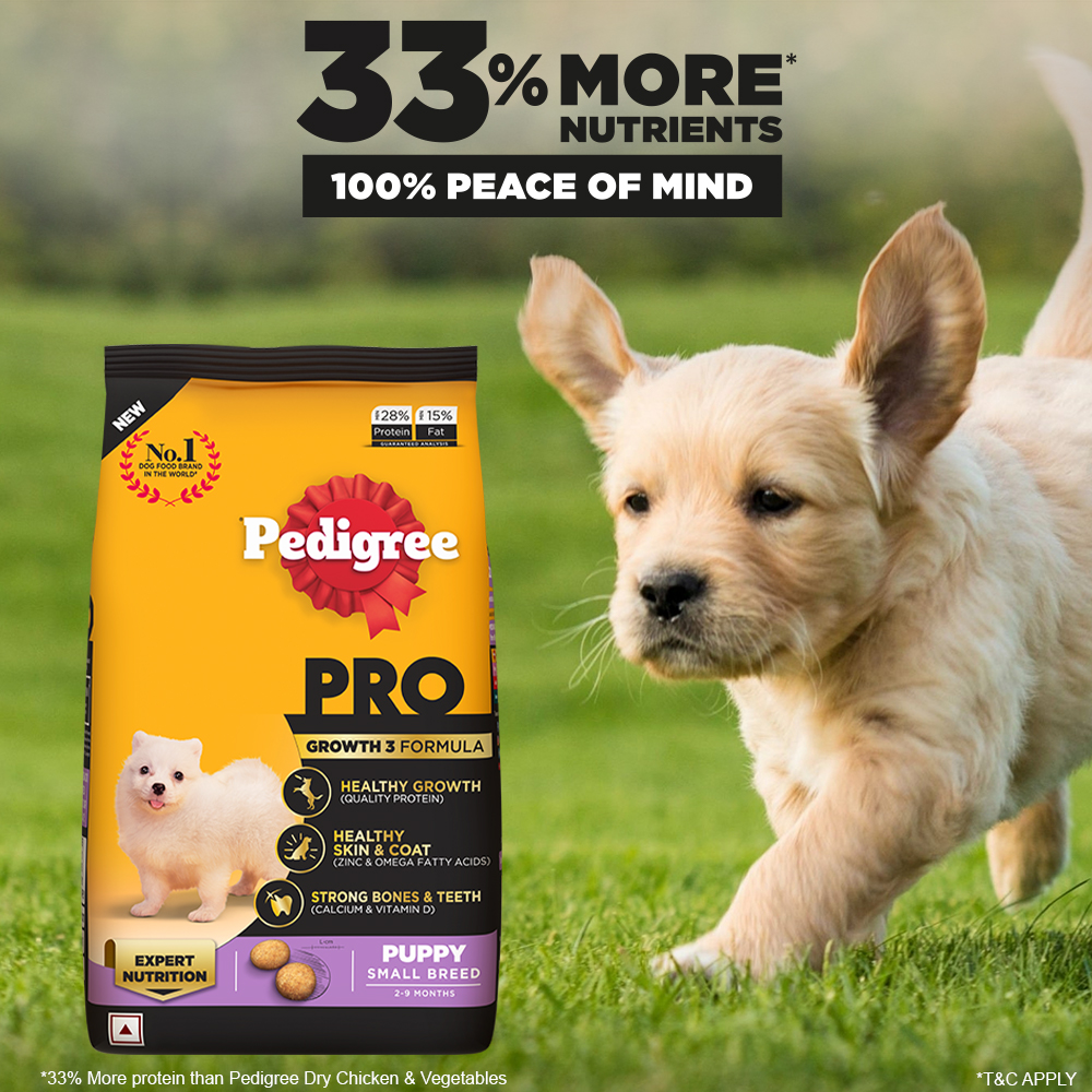 Pedigree PRO Expert Nutrition Small Breed Puppy Dry and Chicken Chunks in Gravy Puppy Wet Food Combo