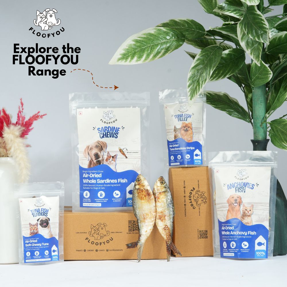 FloofYou Air Dried Whole Anchovy and Sardines Fish Dog and Cat Treats Combo Dog Treats + Others FloofYou