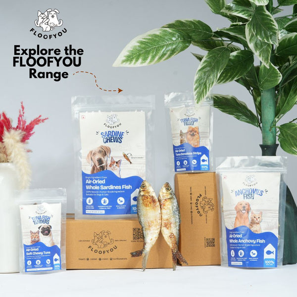 FloofYou Air Dried Whole Anchovy Fish Dog and Cats Treats