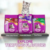 Whiskas Tuna in Jelly Meal Adult Cat Wet Food and Tuna Flavour Adult Cat Dry Food Combo Exclusive Combo Whiskas
