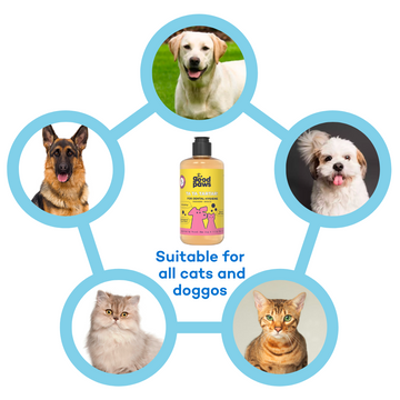 The Good Paws Ta Ta Tartar Dental Care for Dogs and Cats | Oral Care Water Additive