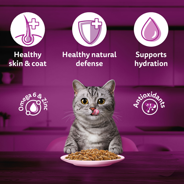 Whiskas Adult Cat Food Combo |Ocean Fish Dry & Salmon in Gravy Wet