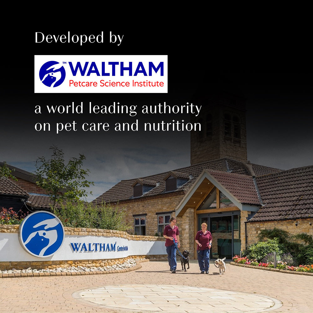 Sheba Maguro & Bream Fish Mix Premium Cat Wet Food Cats-Wet Food Sheba