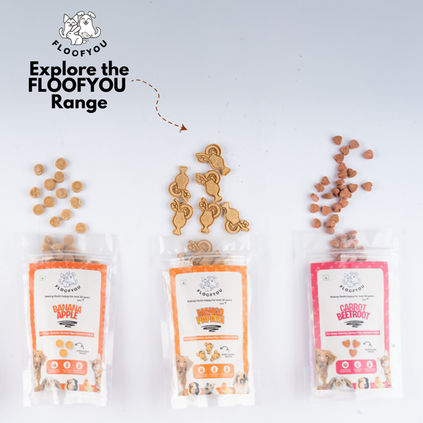 FloofYou Premium Timothy Hay for Small Animals