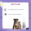 Zoivane Pets Black Currant Odour Remover Spray for Dogs and Cats Both-Health & Wellness Zoivane