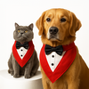 PawsIndia Red & White Tuxedo Suit for Dogs Dogs-Clothing & Accessories Pawsindia Dropship
