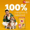 Pedigree Chicken and Milk Puppy Dog Dry Food Dogs- Dry Food Pedigree