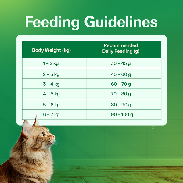Avant Furst Ocean Fish Flavour Adult Cat Dry Food
