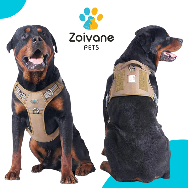 Zoivane Harness for Dogs (Black & Green)