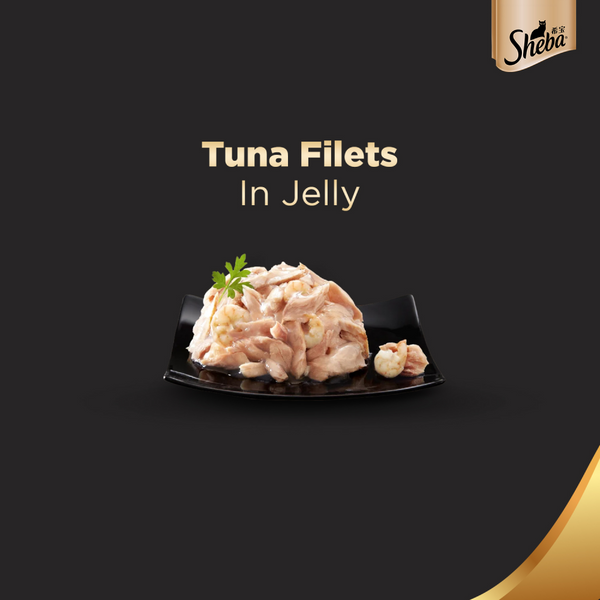 Sheba Pure Tuna Filets in Jelly Premium Cat Wet Food and Salmon Flavour Irresistible All Life Stages Cat Dry Food Combo