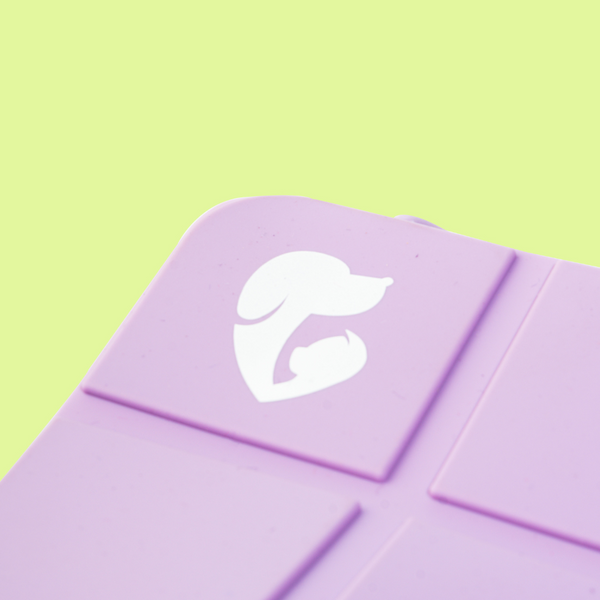 Pet Set Go  Foldable Square Bowl for Dogs (Purple)