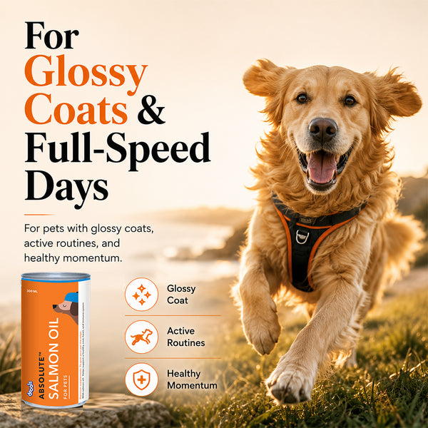 Drools Absolute Salmon Oil Syrup Supplement for Dogs