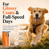 Drools Absolute Salmon Oil Syrup Supplement for Dogs Dogs-Health & Wellness Drools