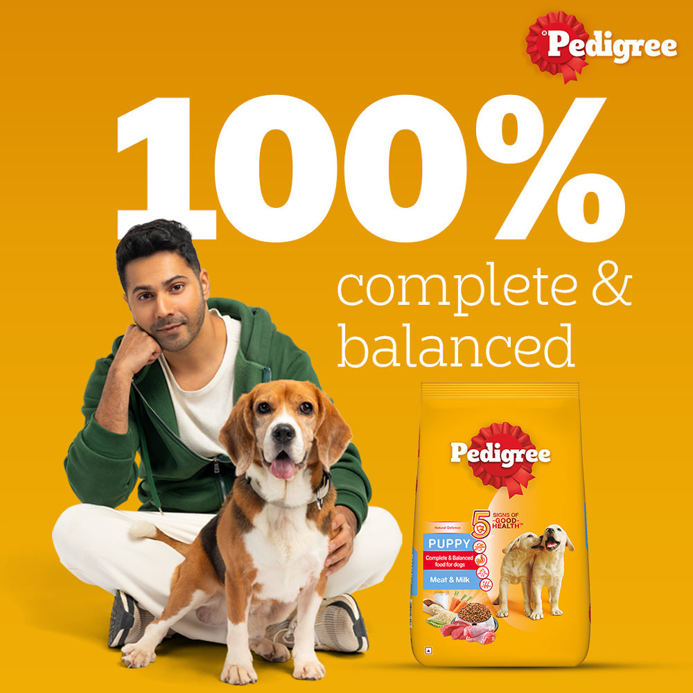 Pedigree Meat & Milk Puppy Dog Dry Food (Buy 1 Get1) (Limited Shelf Life)