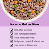 Homiee & Ginger Grain Free Mini Meals Surf & Turf, Fish Feista, Chicken & Barley Food for Dogs Combo Dogs-Wet Food Homiee & Ginger