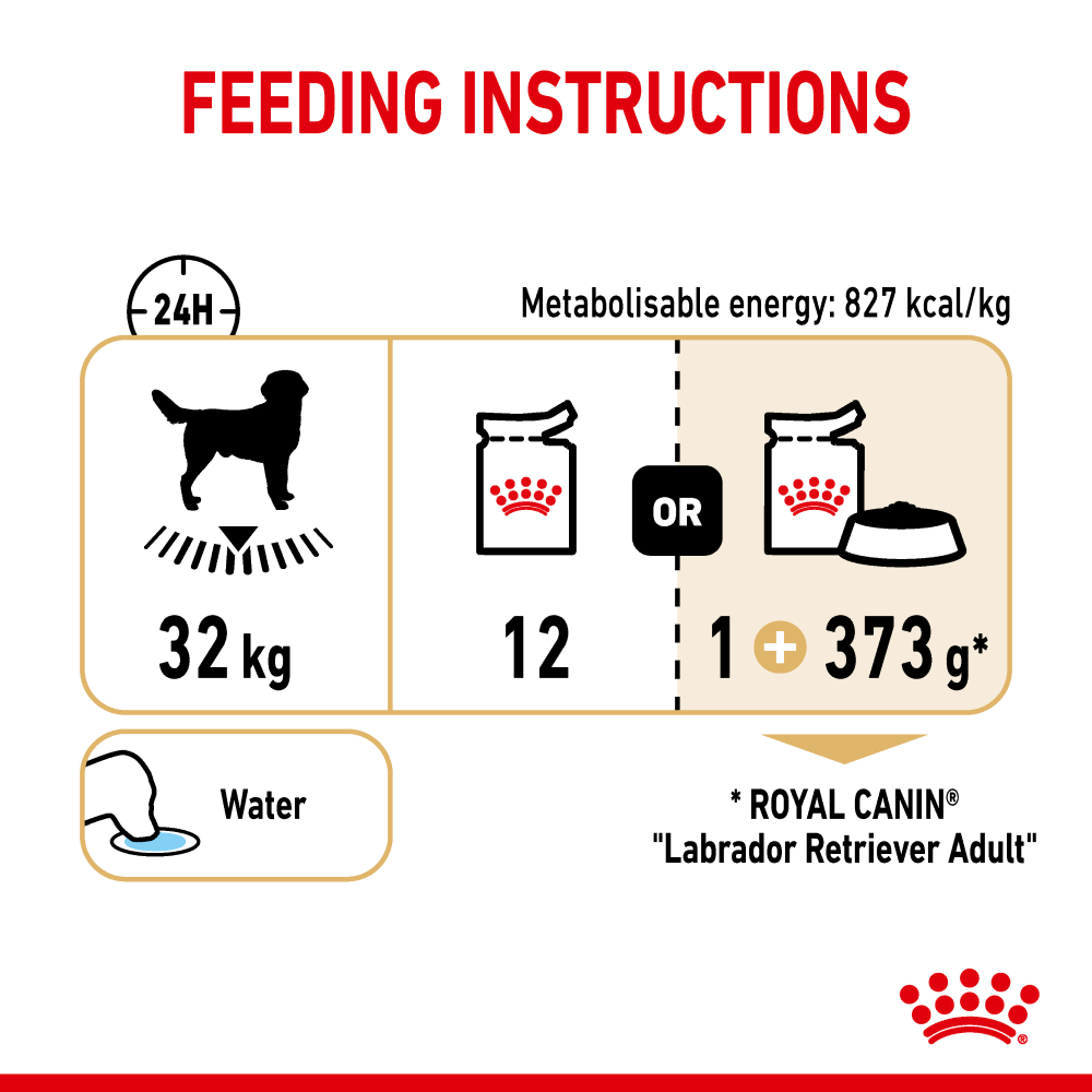 Henlo Baked Adult Dry Food and Royal Canin Chunks In Gravy Labrador Retriever Adult Wet Dog Food Combo