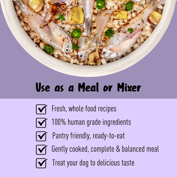 Homiee & Ginger Grain Free Mini Meals Surf & Turf, Fish Feista, Chicken & Barley Food for Dogs Combo