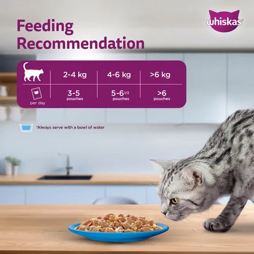 Sheba Tuna Pumpkin & Carrot In Gravy and Whiskas Tuna in Jelly Cat Wet Food Combo Exclusive Combo Exclusive Combo