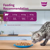 Sheba Tuna Pumpkin & Carrot In Gravy and Whiskas Tuna in Jelly Cat Wet Food Combo Exclusive Combo Exclusive Combo