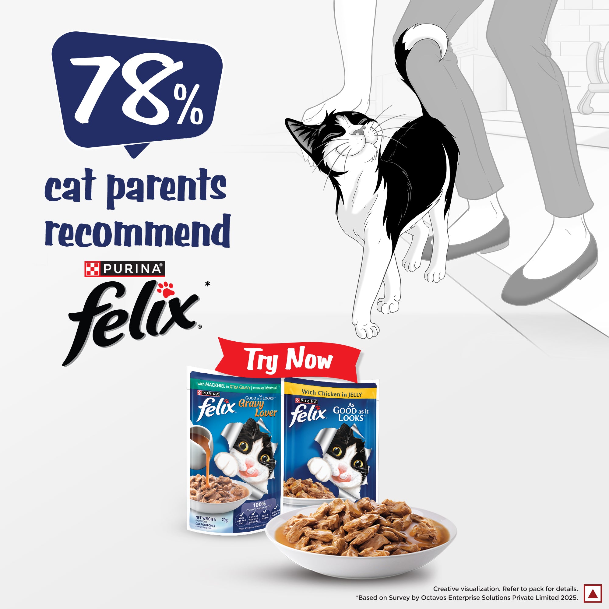 Purina Felix Gravy Lover Mackerel Chunks Complete and Balanced Adult Cat Wet Food Cats-Wet Food Felix