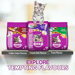 Whiskas Chicken Gravy Adult Cat Wet Food and Tuna Flavour Adult Cat Dry Food Combo