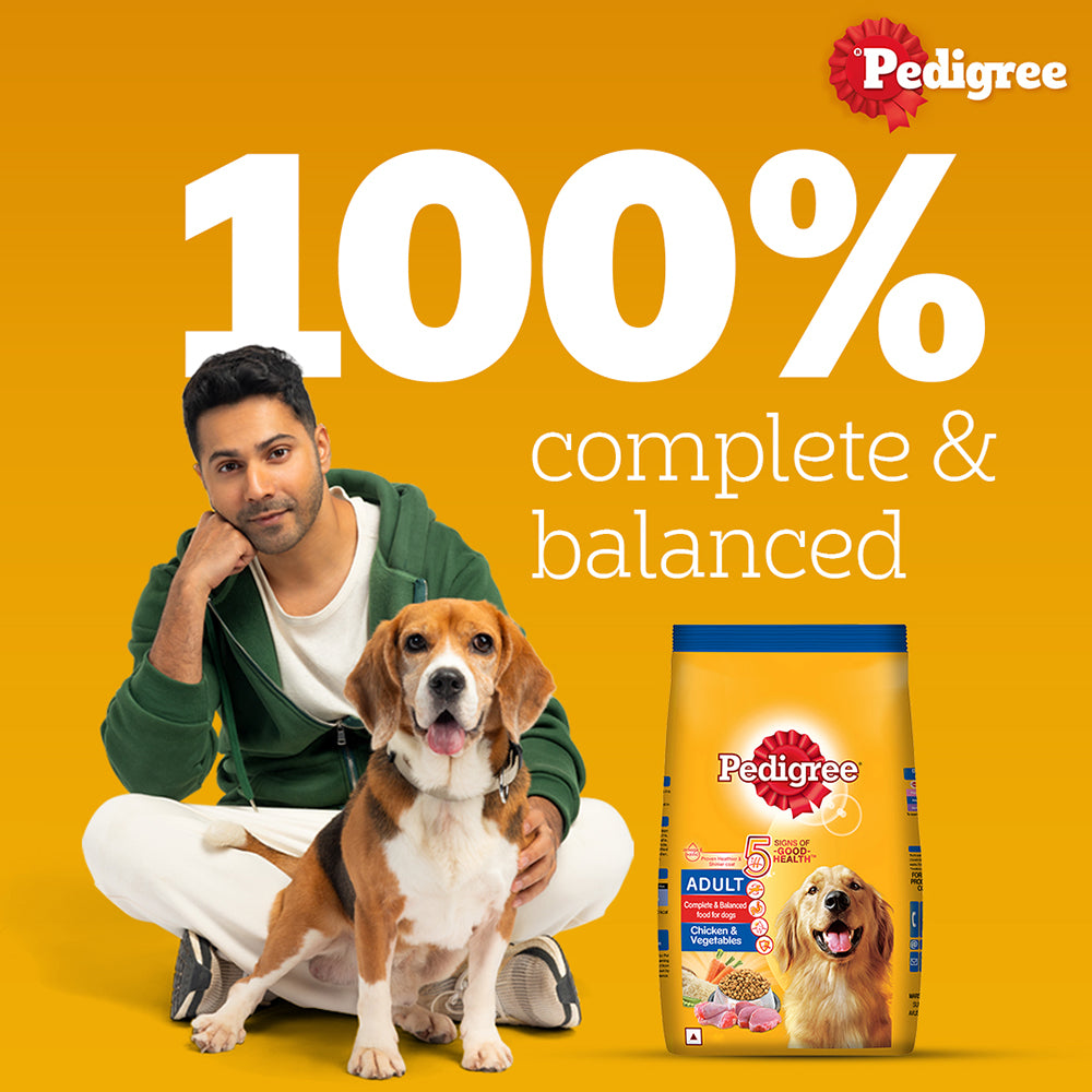 Pedigree Chicken and Vegetables Adult Dry Dog Food