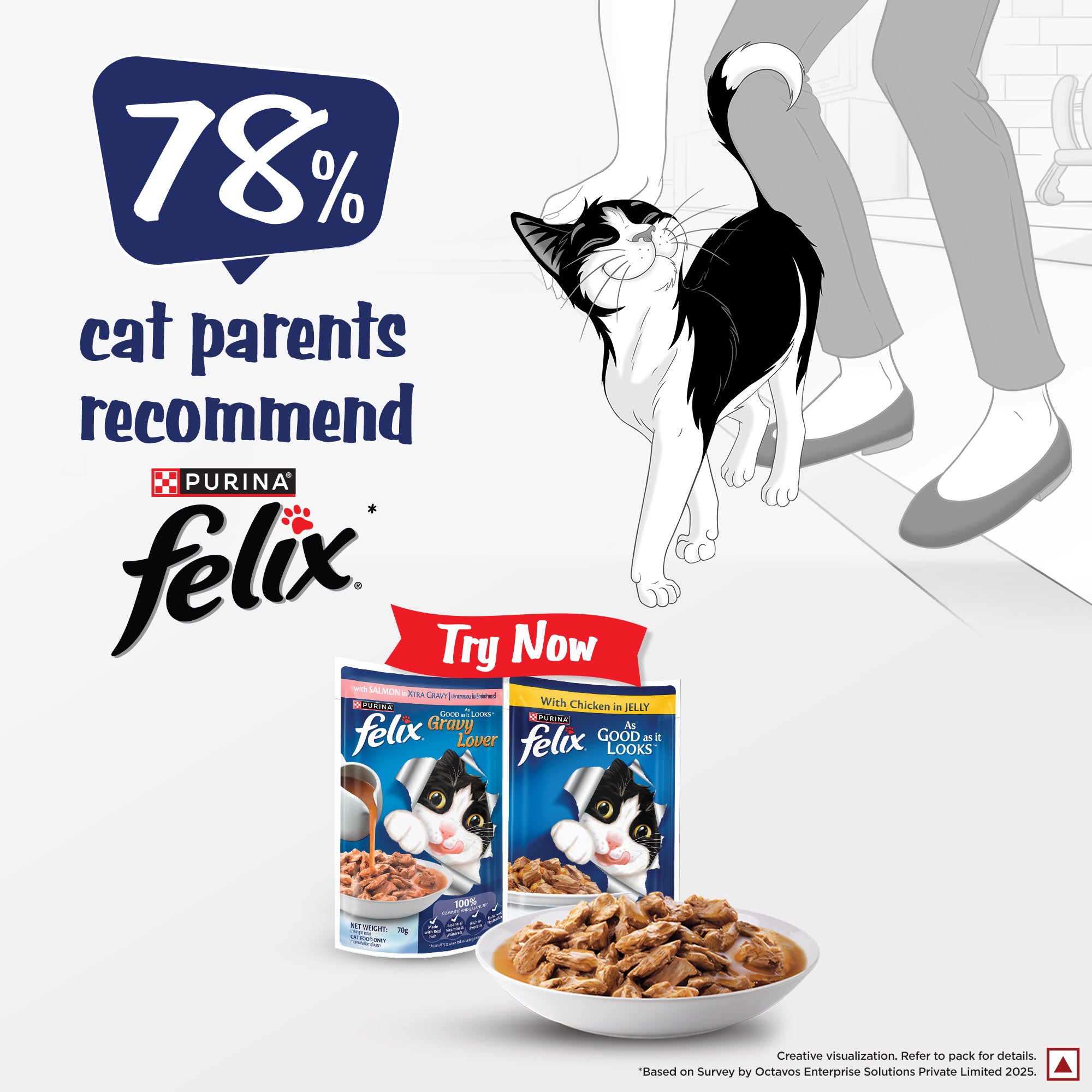 Purina Felix Gravy Lover Salmon Chunks Adult Complete and Balanced Cat Wet Food Cats-Wet Food Felix