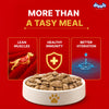 Drools Real Chicken & Chicken Liver Chunks in Gravy Adult Dog Wet Food Dogs-Wet Food Drools