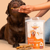FloofYou Air Dried Chicken Feet Grain Free Chew Dog Treats Dog Treats + Others FloofYou