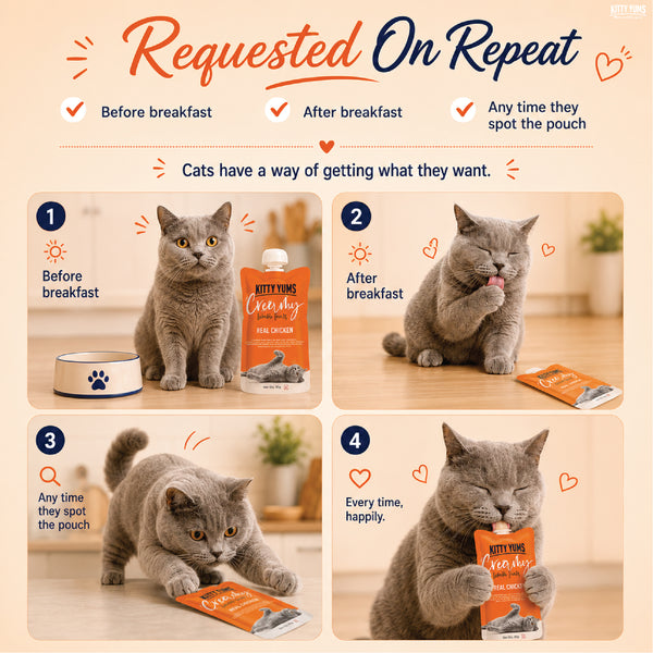 Kitty Yums Lickable Real Chicken Creamy Cat Treat