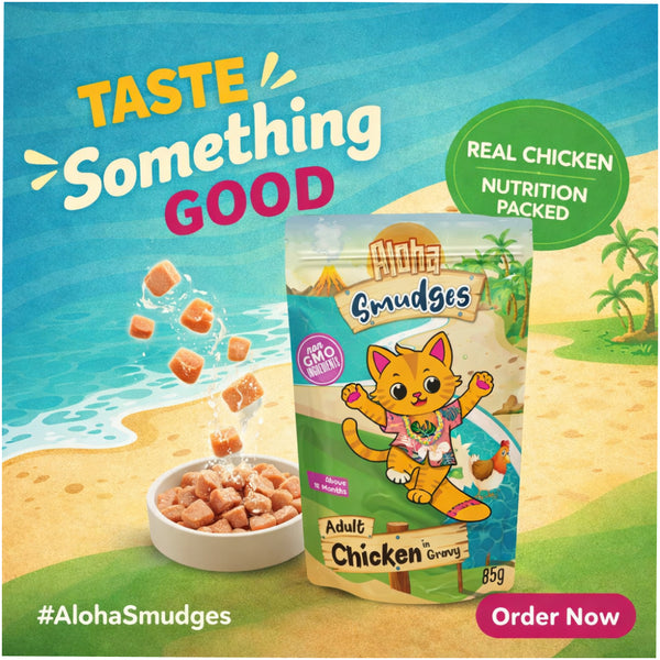 Aloha Smudges Chicken in Gravy Adult Cat Wet Food