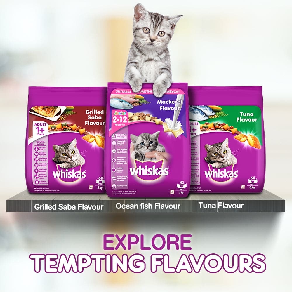 Whiskas Tuna and Tuna in Jelly Meal Adult Cat Dry and Wet Food Combo