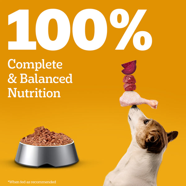 Pedigree Chicken and Liver Chunks in Gravy Adult Dog Wet Food (130g)
