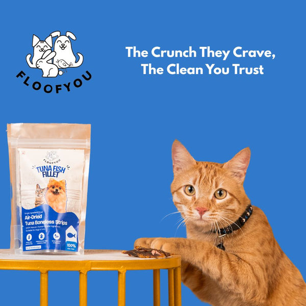 FloofYou Air Dried Tuna Fish Fillet Dogs & Cats Treat