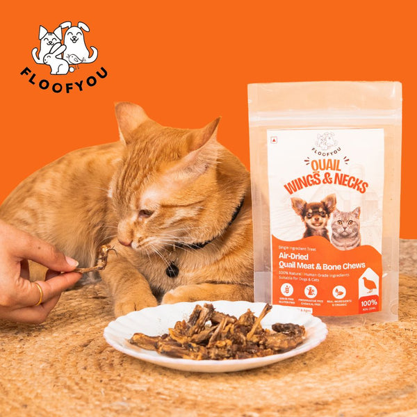 FloofYou Air Dried Quail Wings and Neck Chews Dog and Cats Treats