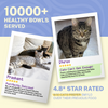 Smylo Kitten Chicken Tuna & Rosemary, Fresh & No-Preservative Wet Cat Food Cats-Wet Food Smylo