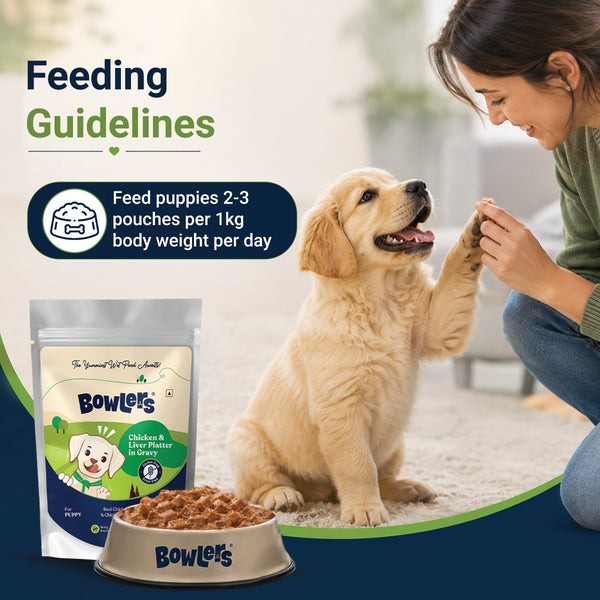 Bowlers Chicken and Liver Recipe in Gravy Puppy Dog Wet Food