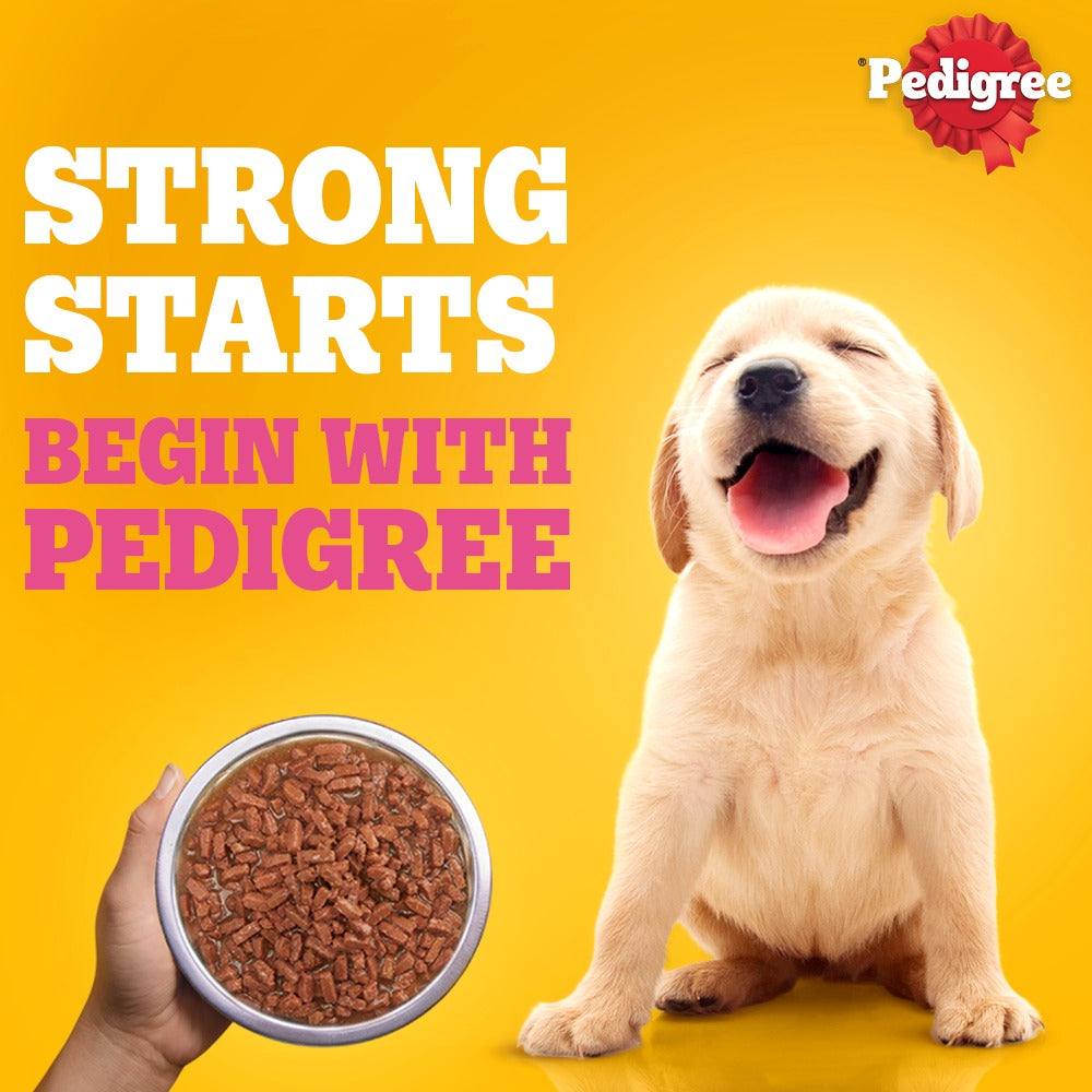 Pedigree Chicken & Liver Chunks in Gravy Puppy Wet Dog Food Dogs-Wet Food Pedigree