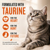 Signature Grain Zero Mackerel Adult Cat Dry Food For All Breed Cats- Dry food Signature