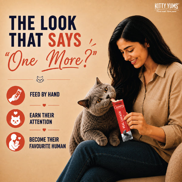 Kitty Yums Real Chicken Creamy Cat Treats